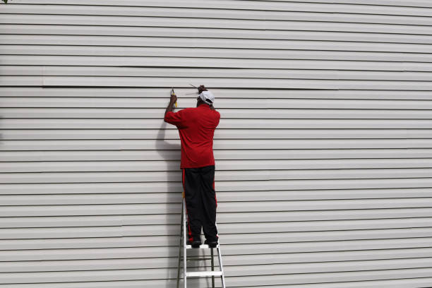 Best Stone Veneer Siding  in Frederic, WI