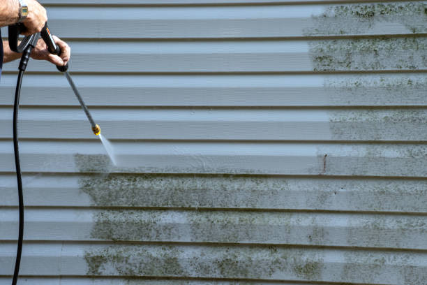 Professional Siding Installation & Repair in Frederic, WI